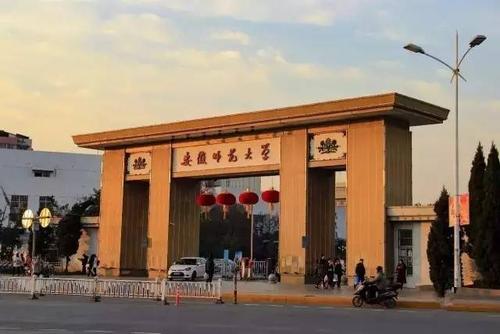 蕪湖3所高校新增5個本科專業