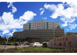 蕪湖醫(yī)院：皖南醫(yī)學院弋磯山醫(yī)院（三甲）
