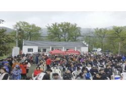 蕪湖·昆山首屆白茶采摘節暨映山紅觀賞季開幕