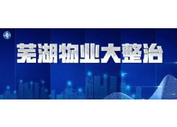 蕪湖市鏡湖住宅小區(qū)物業(yè)整治提升推進(jìn)會(huì)召開