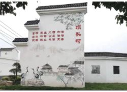 蕪湖市鳩江區：穿針引線 繡出美麗鄉村新畫卷