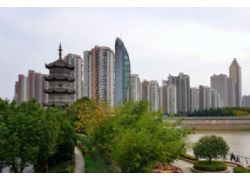 蕪湖：青少年志愿者清理垃圾護環境