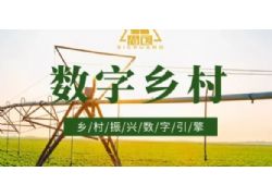 安徽省數字鄉村試點工作現場推介活動（皖南片區）在蕪湖舉辦